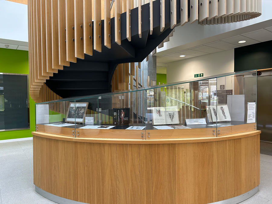 Suttie Building display